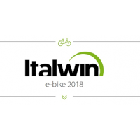 Italwin